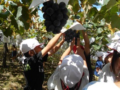 Dscn1044