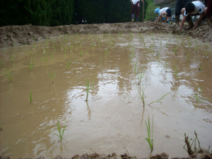 Dscn1414_2