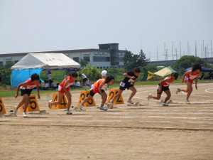 Dscf0078