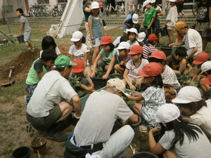 P7030038