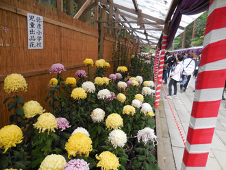 Dscn0843