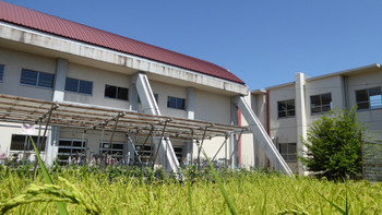 P1040917