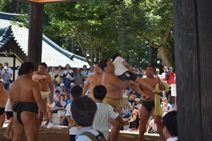 Dsc_0626_2 Dsc_0626_2