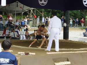 弥彦小学校 弥彦神社奉納子ども相撲大会８ ２７