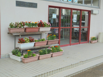 Dsc01243