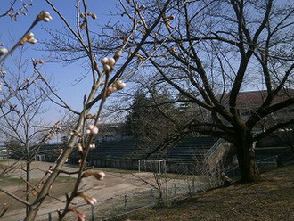 P3270482_2