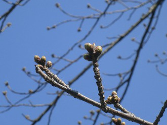 P3270484_2