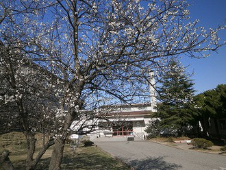 P3300486