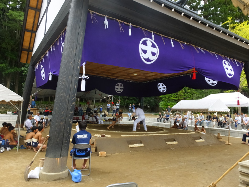 弥彦小学校 弥彦神社奉納子ども相撲大会８ ２７